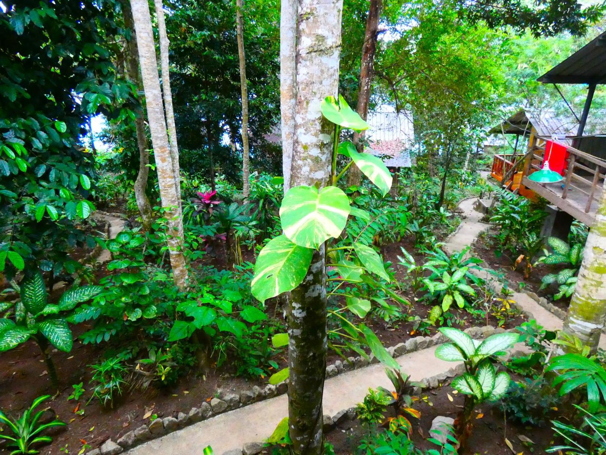 Santi Garden Bungalows Iboih Luaran gambar