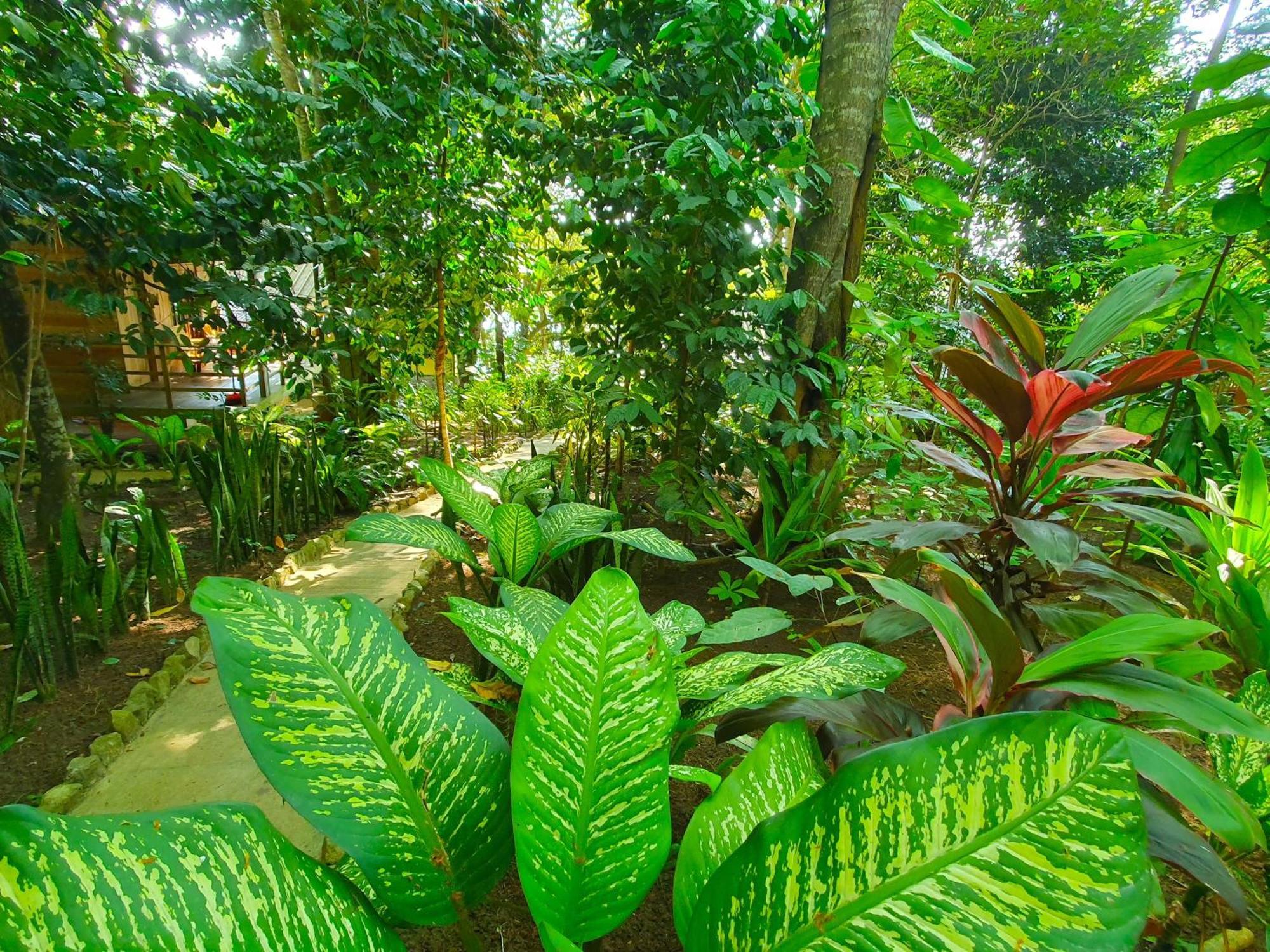 Santi Garden Bungalows Iboih Luaran gambar