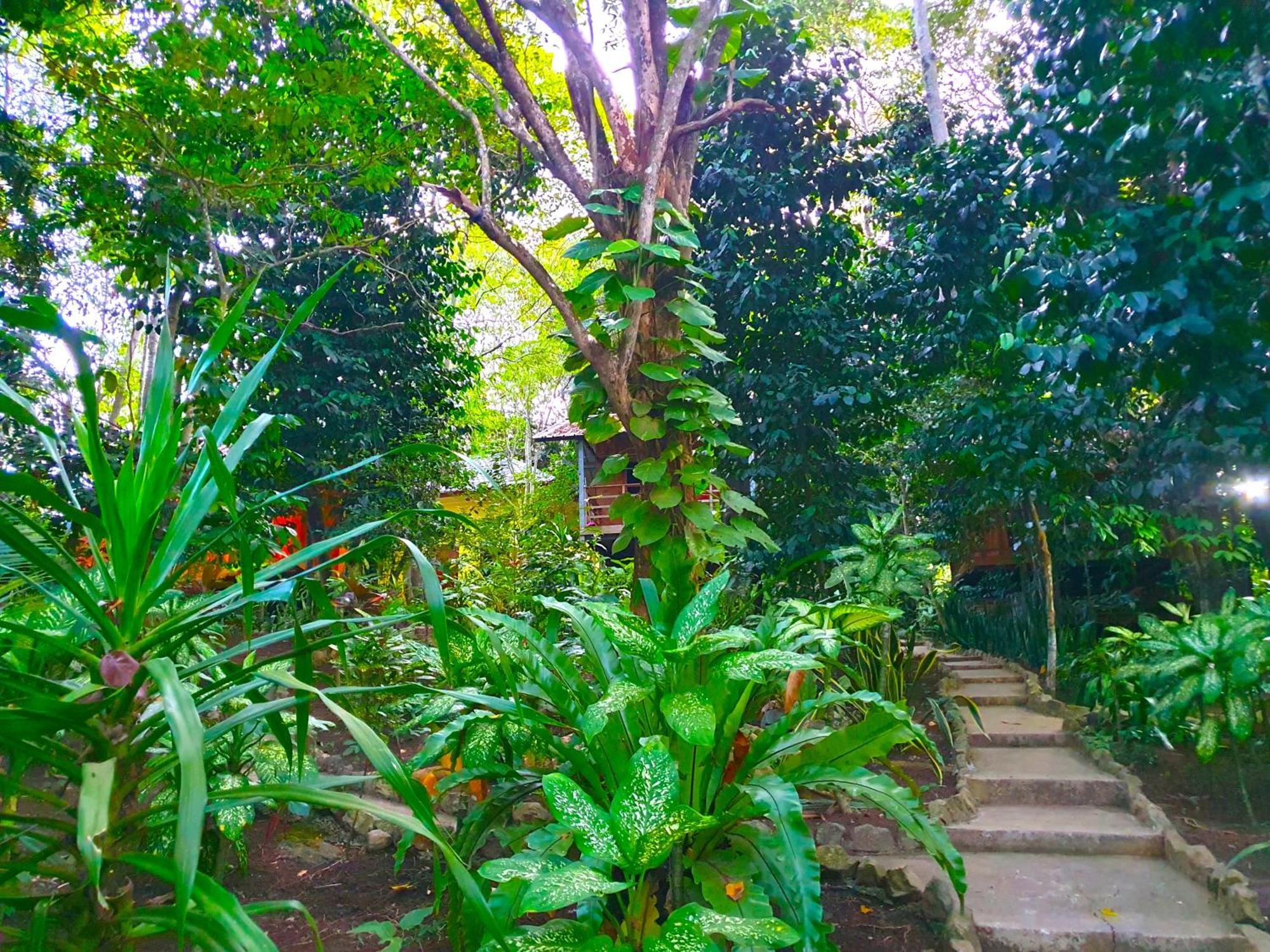Santi Garden Bungalows Iboih Luaran gambar